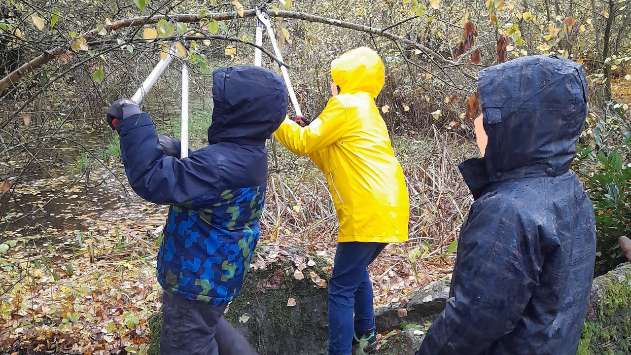 Kinder beim Baumschnitt